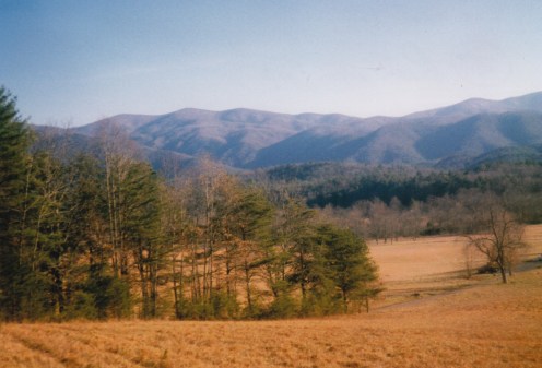 Cades Cove Scene