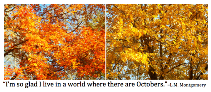 Quote about October