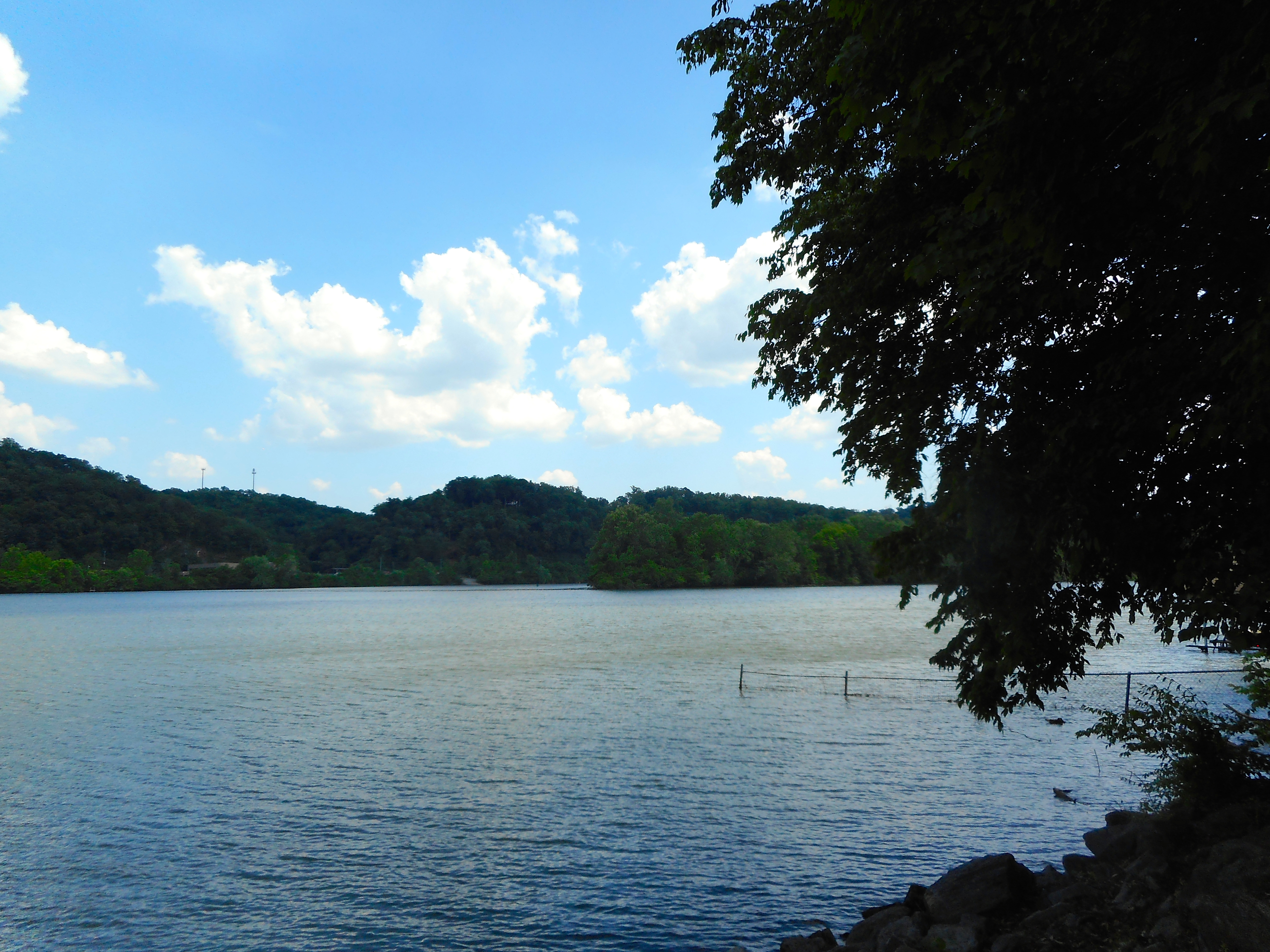 Tennessee Rios June 2021 – THE BEAUTIFUL TENNESSEE RIVER | Lin Stepp